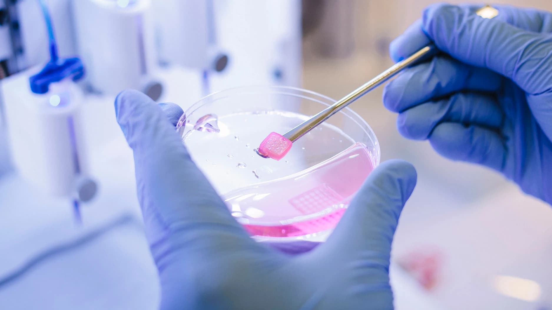 Napredne biomedicinske in analitične rešitve